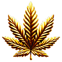Cannabis bulk seeds